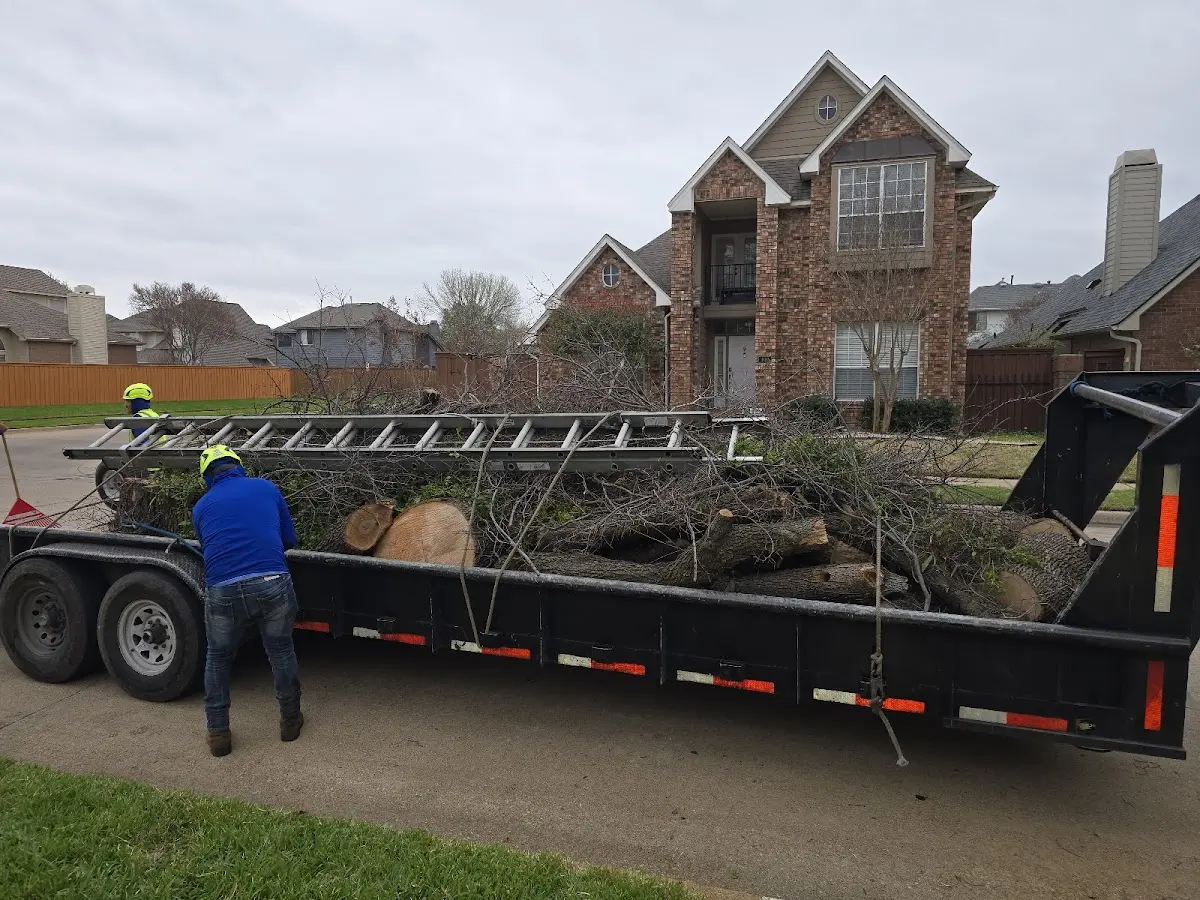 Expert Lot Clearing with proper safety equipment in Albright